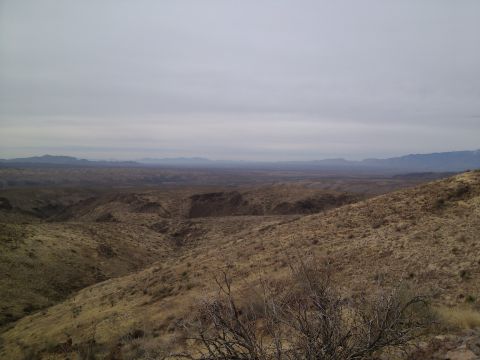 1981 Ford F-150 - A vast desert landscape unfolds under an overcast sky, with dry brush dotting the foreground hills.