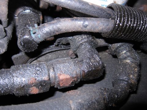 1991 Ford Crown Victoria LTD - Close-up view of oily engine hoses and corroded metal fittings.