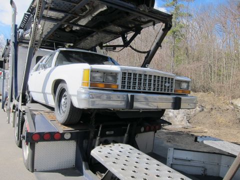 1991 Ford LTD Crown Victoria - A white sedan is loaded onto a car carrier, showing its front grille and headlights.