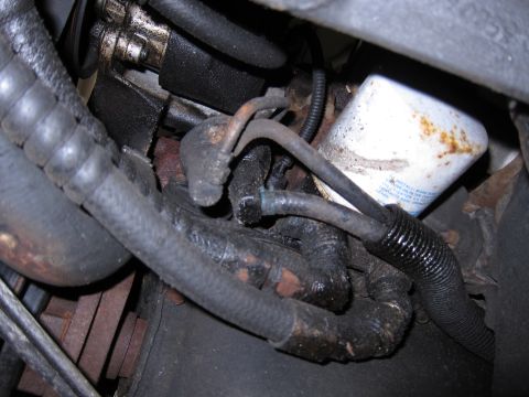 1991 Ford LTD Crown Victoria - Close-up view of an engine oil filter and associated hoses, with visible oil residue.