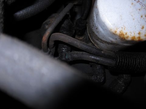 1991 Ford LTD Crown Victoria - Close-up view of engine components including an oil filter and various hoses.