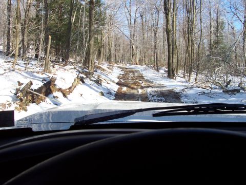 1994 Ford Bronco - Another Trail shot