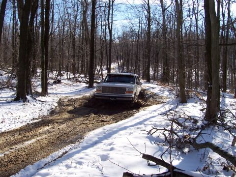1994 Ford Bronco - Time to get muddy !