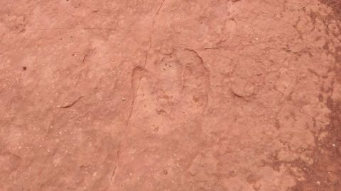 1994 Ford Bronco - The image shows a close-up of a textured rock surface, not a vehicle.