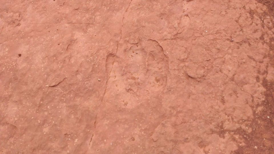 Close-up of reddish-brown rock surface with visible texture and cracks