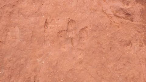 1994 Ford Bronco - Fossilized dinosaur tracks are visible in the textured rock surface.