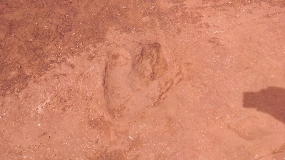 Dinosaur footprint in reddish-brown dirt with a shadow of a person on the right