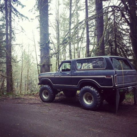 1979 Ford Bronco - A lifted 1978 Ford Bronco sits off-road amongst tall trees in a wooded area.
