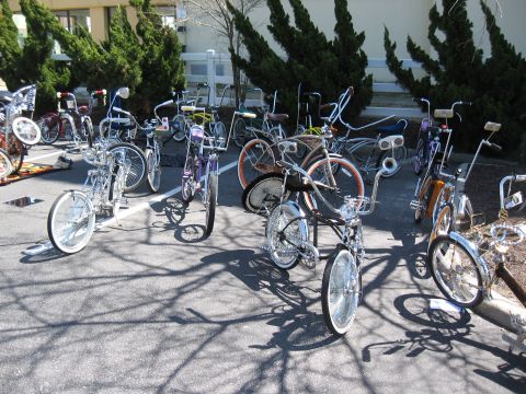 1994 Ford Bronco - A collection of custom lowrider bicycles are parked together outdoors on a sunny day.