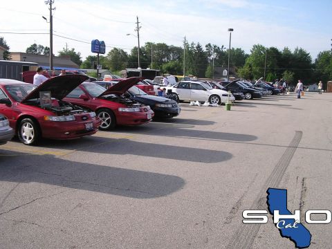 1993 Ford Taurus - A row of Ford Taurus vehicles are displayed with their hoods up at an outdoor event.
