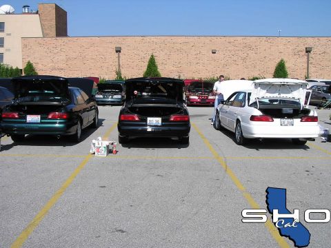 1993 Ford Taurus - Several Ford Taurus sedans are parked in a lot with their trunks open, possibly at a car show.