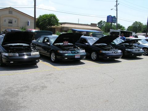 1993 Ford Taurus - Several Ford Taurus sedans are lined up with their hoods open, possibly at a car show or meet.