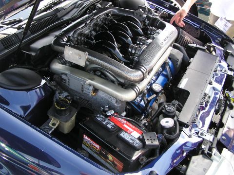 1993 Ford Taurus - The engine bay of a 1993 Ford Taurus, a SHO intake manifold and custom blue valve covers.