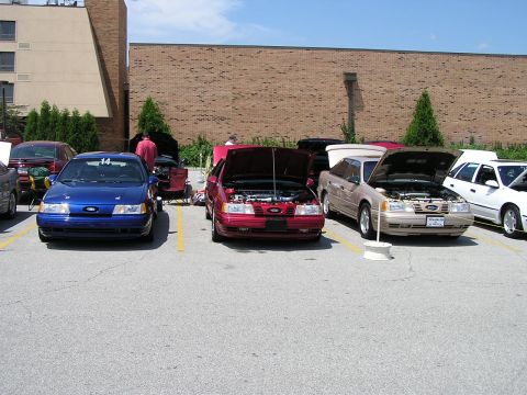 1993 Ford Taurus - Several Ford Taurus models are gathered, with hoods open, at an outdoor event.