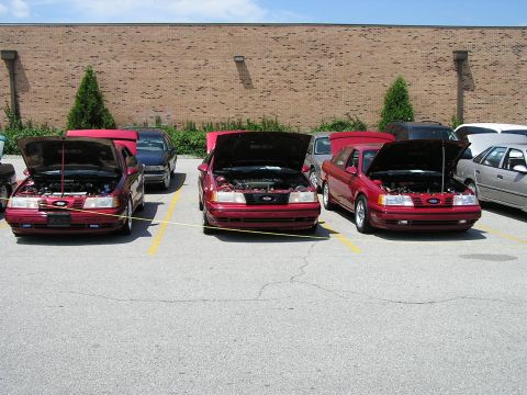 1993 Ford Taurus - Several Ford Taurus models are displayed with their hoods open, revealing their engines in a parking lot setting.