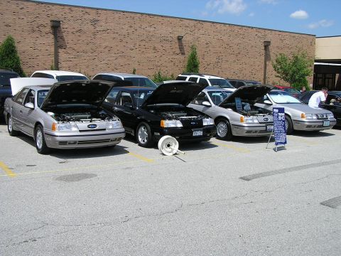 1993 Ford Taurus - Several Ford Tauruses are displayed with their hoods open at an outdoor car show.