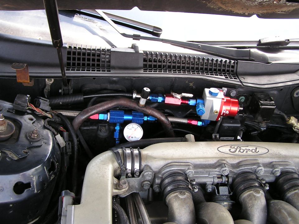 Engine bay with a blue and red fuel pressure regulator and gauge installed. Ford logo visible on the engine