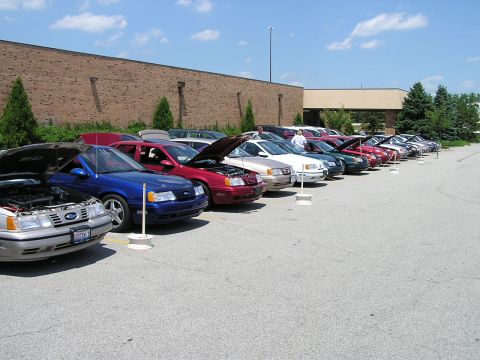 1993 Ford Taurus - A row of Ford Taurus vehicles, some with hoods open, parked outside on a sunny day.