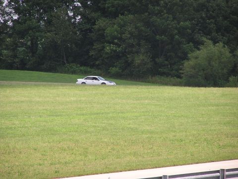 1993 Ford Taurus - A white sedan with a contrasting black hood is visible from the side, parked on a grassy hill with trees in the background.