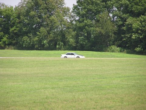 1993 Ford Taurus - White 1993 Ford Taurus sedan seen from the side on a road with trees in the background.