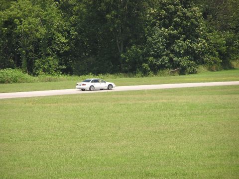 1993 Ford Taurus - A white sedan travels down a road bordered by lush green grass and dense trees.