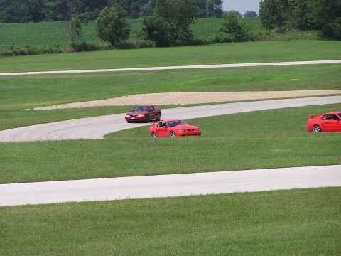 1993 Ford Taurus - Multiple red sports cars navigate a turn on a grassy race track during a sunny day.