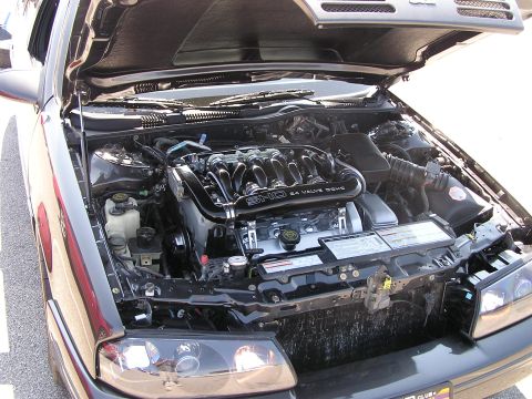 1993 Ford Taurus - Engine bay of a 1993 Ford Taurus SHO, showing the V6 24-valve DOHC engine.