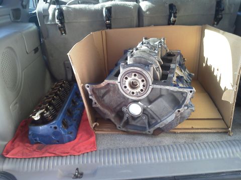 1988 Ford Bronco - 95 Motor back from the machine shop. .030 over , Crank polished, new cam bearings, crank journal bearings, pistons, rods and rings.