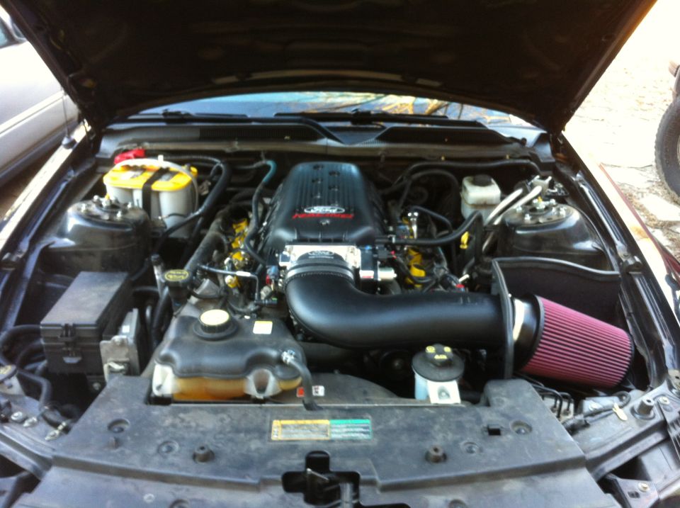 Engine bay with the cold air, intake manifold, and throttle body