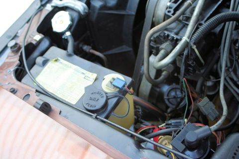 1980 Ford Mustang - The engine compartment of a car is shown, with various mechanical components and fluid containers visible.