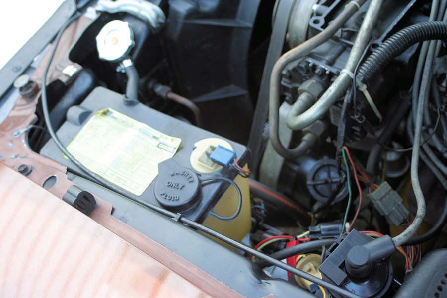 Close-up of a car's engine bay, showing hoses, wires, and fluid reservoirs