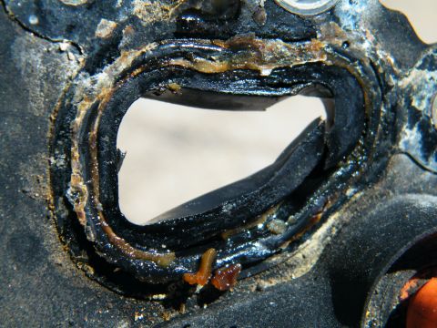 2004 Ford Crown Victoria - This heavily degraded rubber gasket shows signs of wear and contamination.
