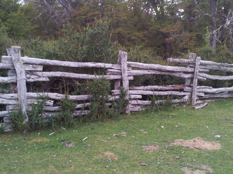 1986 Ford Bronco - A rustic wooden fence stands in a grassy field with trees in the distance.