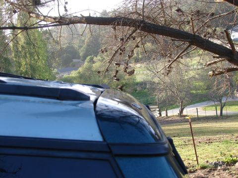 1973 Ford Ranchero - View from inside a vehicle looking out at a rural landscape through the windshield and over the roof rack.