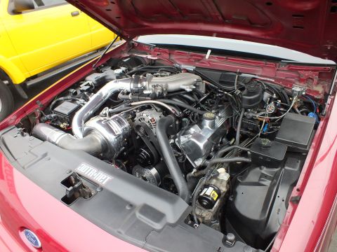 2003 Ford Crown Victoria - Overhead engine-bay shot of a red Ford with ProCharger supercharger, alternator and polished intake tube.