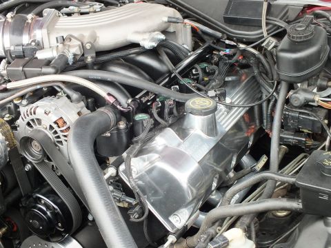 2003 Ford Crown Victoria - Detailed view of a Ford V8 upper intake, alternator and forced-induction plumbing in an engine bay.