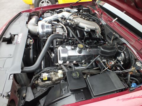 2003 Ford Crown Victoria - Top-down view of a red Ford's engine bay packed with a supercharged V8, polished pipework and side-mounted battery.