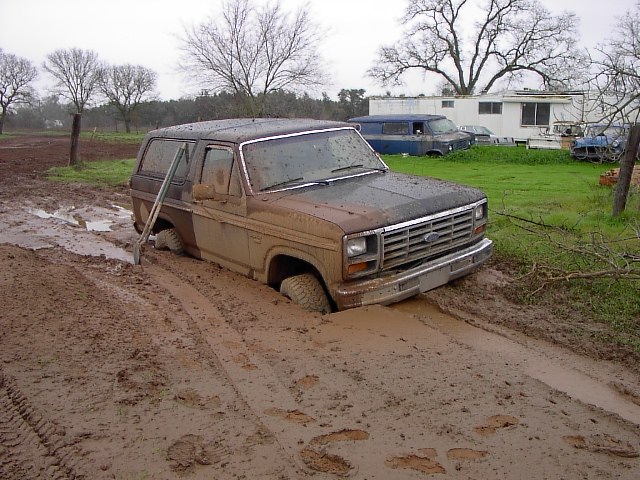 1985 Ford Bronco