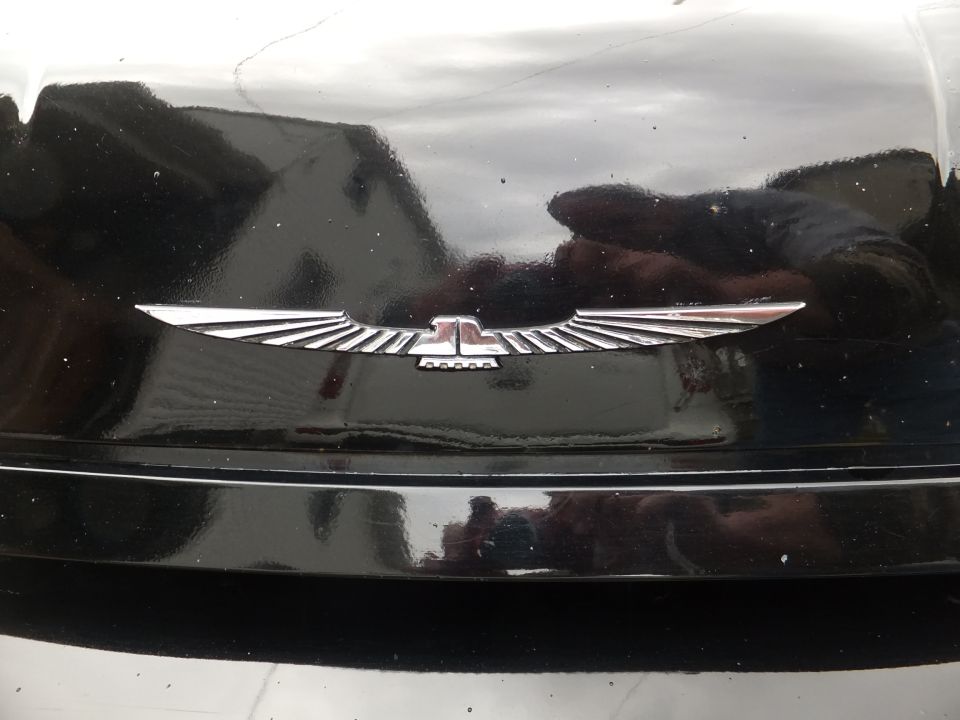 chrome bird emblem on black surface