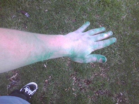 2003 Ford Crown Victoria - A person's arm and hand are covered in green paint, with a shoe visible in the grass.