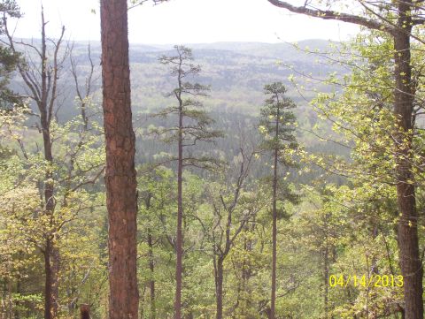 1990 Ford Bronco - A scenic view of a forest landscape is visible, with a date stamp in the lower right corner.