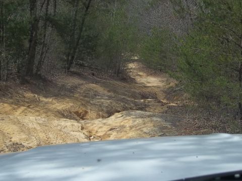 1990 Ford Bronco - Driving on a rough dirt track in a wooded area. Tire tracks are visible on the path.