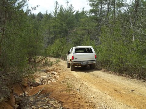 1990 Ford Bronco - A white 1990 Ford Bronco navigates a dusty, wooded trail.