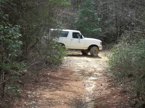 1990 Ford Bronco - A white 1990 Ford Bronco navigates a wooded trail, its off-road capabilities.