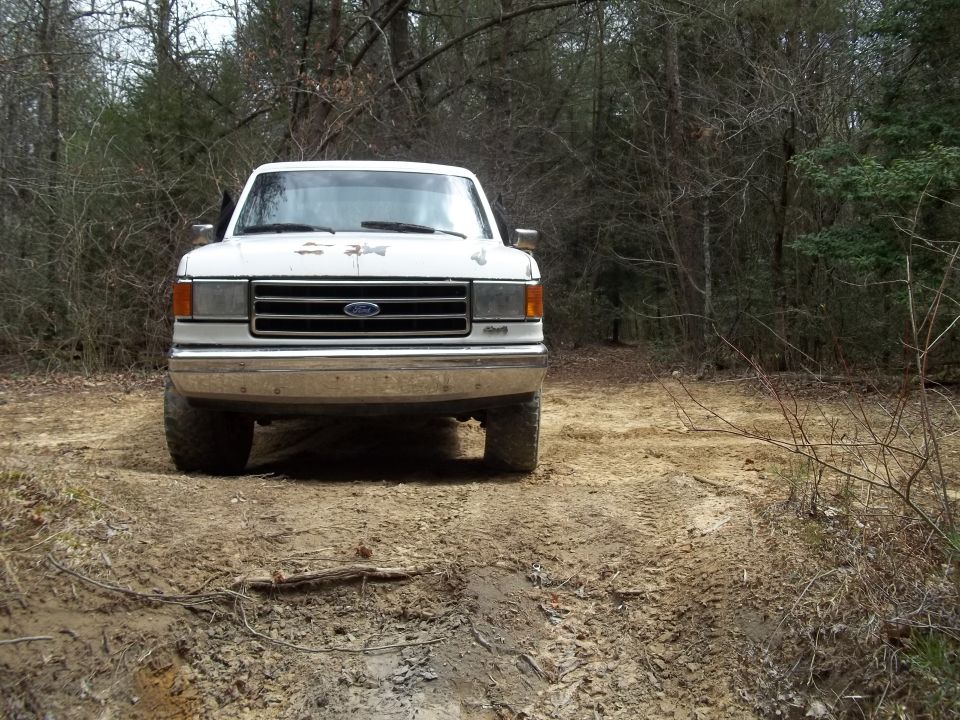 Front view of a white Ford F-series truck on a dirt road in the woods. Grille indicates 1987 model year