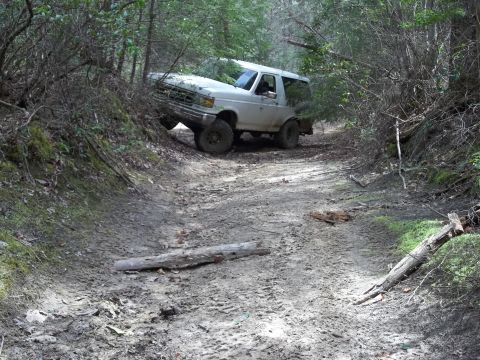 1990 Ford Bronco - A white 1990 Ford Bronco navigates a challenging dirt path surrounded by dense foliage.