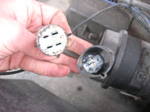 1981 Ford Bronco - Close-up of a corroded electrical connector and its mating socket.