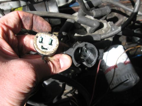 1981 Ford Bronco - A hand holds an electrical connector, with engine components visible in the background.