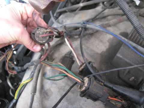 1981 Ford Bronco - A hand disconnects a wiring harness connector in the engine bay, showing a tangle of wires.