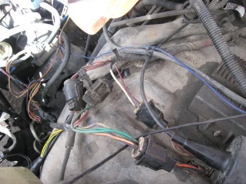 1981 Ford Bronco - Engine wiring harness detail with various colored wires and connectors visible.